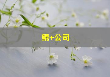鲲 公司